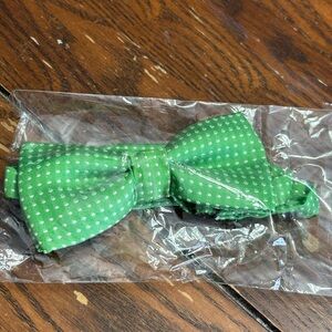 Green Polka Dot Bow Tie